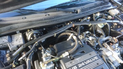 DSC_2418[1].JPG