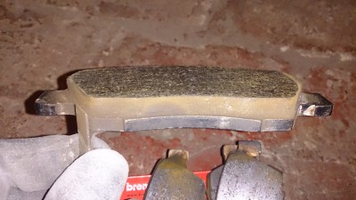 DSC_6504.JPG