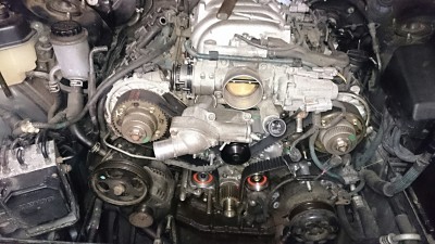 tmp_4604-IMG_20170102_09393898544144.jpg