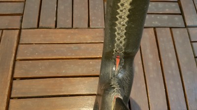 20161112_152220.jpg