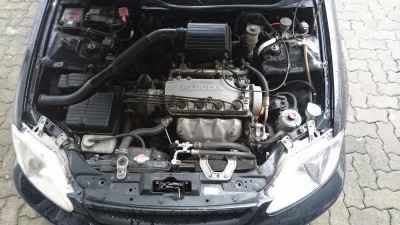 DSC_0176.JPG