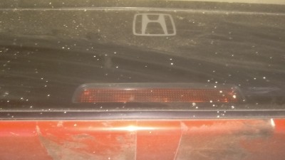 IMAG1303.jpg