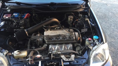 IMG_2826.JPG