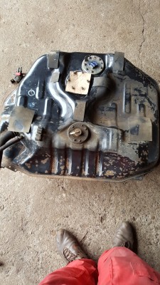 20170304_124737.jpg