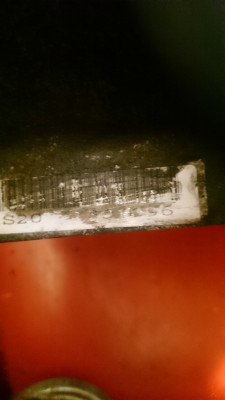 DSC_0444.JPG