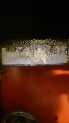 DSC_0445.JPG
