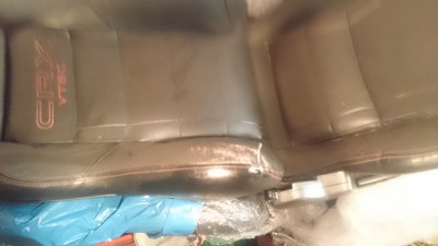 DSC_0446.JPG