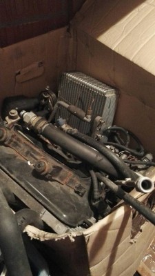 IMG_1490375719973_99785.jpg
