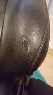 20170410_184912.jpg