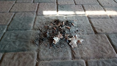 Der klägliche Rest.jpg