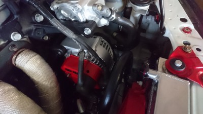 DSC_2532[1].JPG