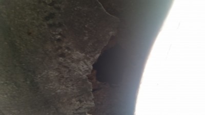 20170506_124140.jpg