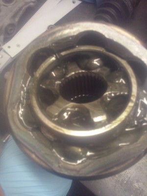 CAM01436.jpg