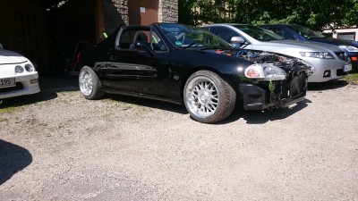 DSC_9172.JPG
