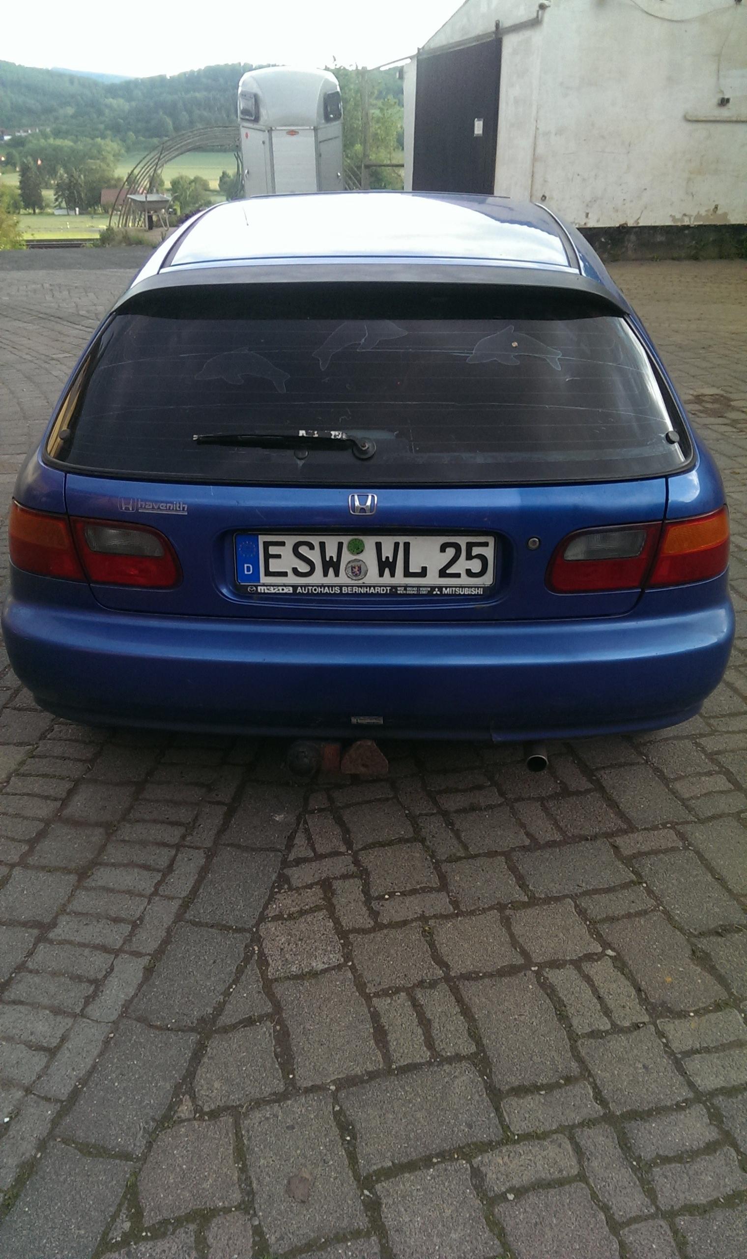 IMAG1145.jpg
