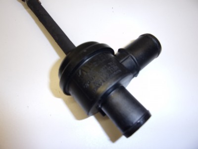 Bov.JPG