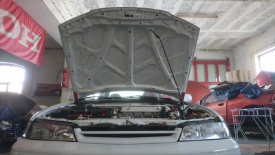 DSC_2604[1].JPG