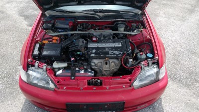 IMG_20170808_142015.jpg