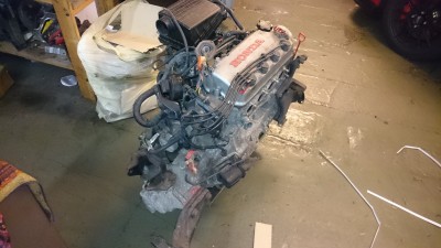DSC_4921.JPG