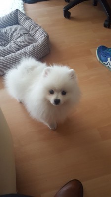 IMG-20170912-WA0002.jpg