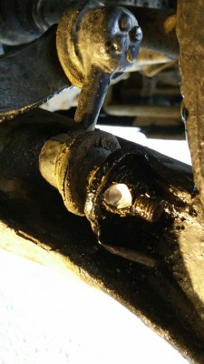 IMG-20170916-WA0004.jpg