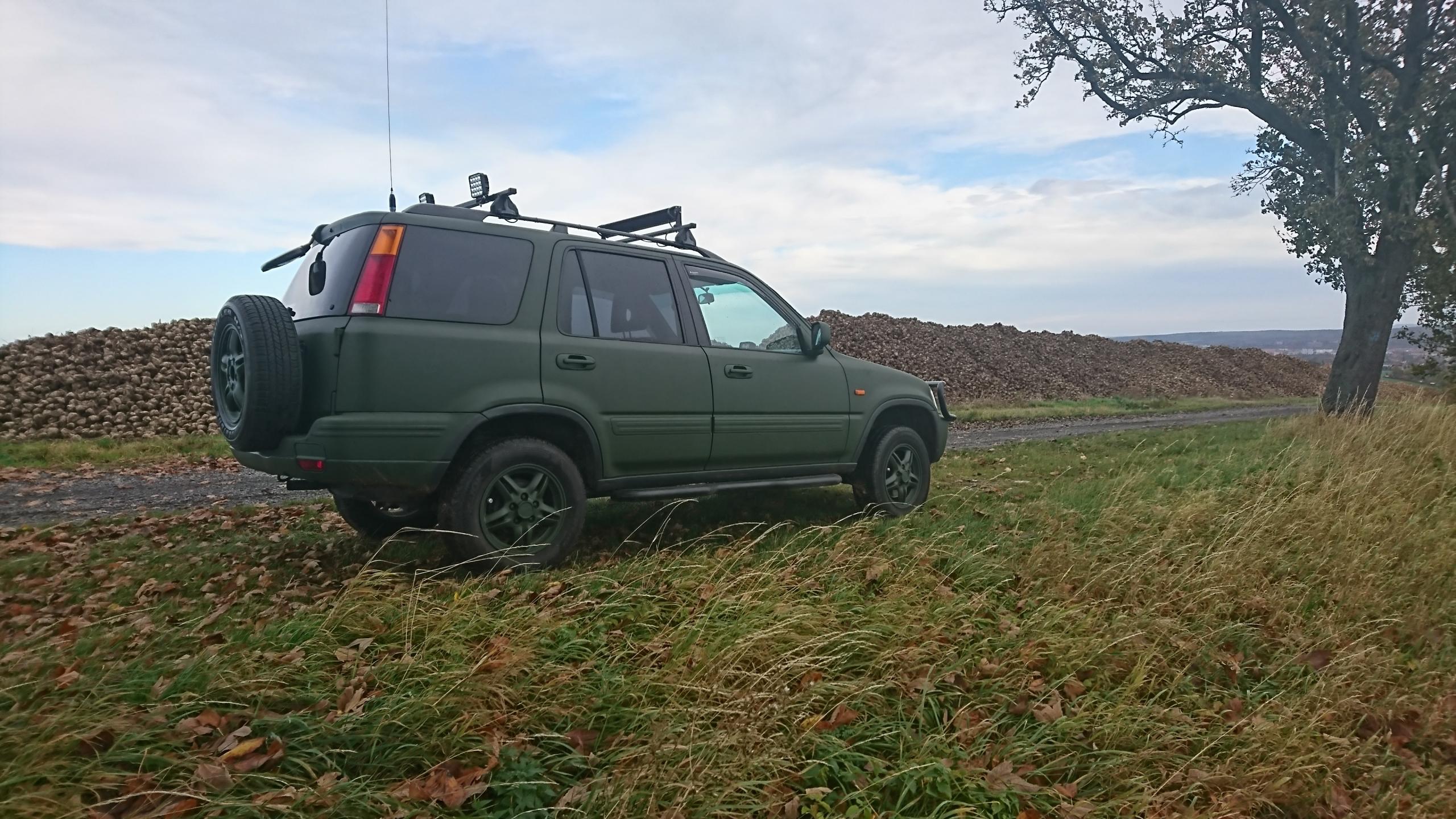 DSC_1485.JPG