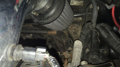 IMG_4928.JPG