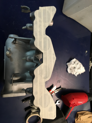 IMG_5509 15.png