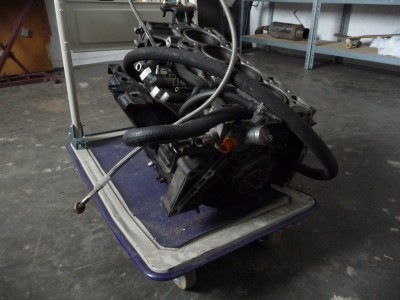 P1080560.JPG