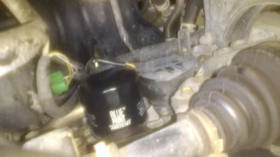 IMG_20171105_171034210.jpg