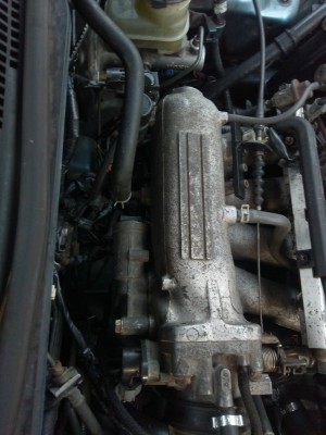 IMAG0424.jpg
