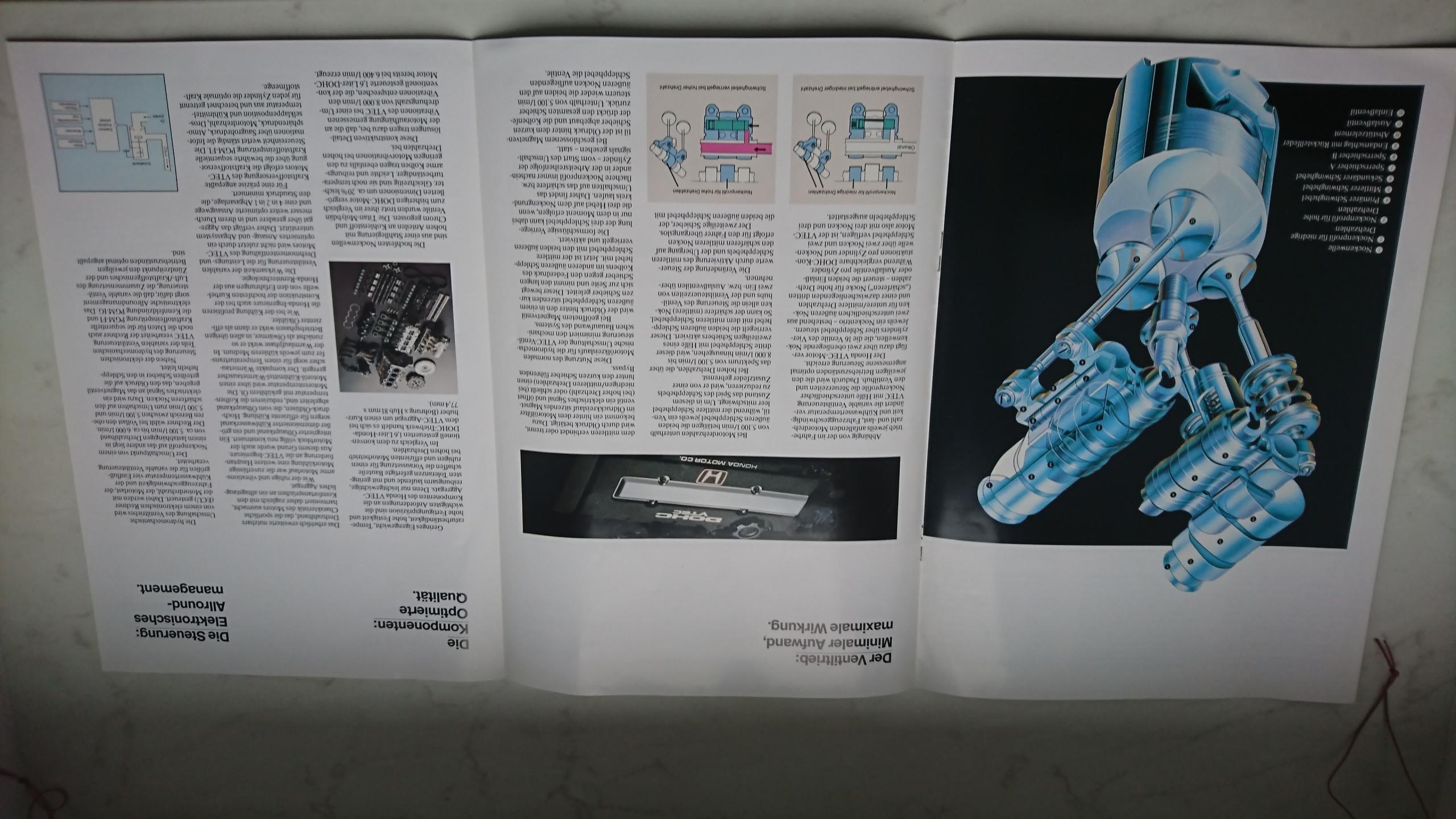 DSC_1681.JPG