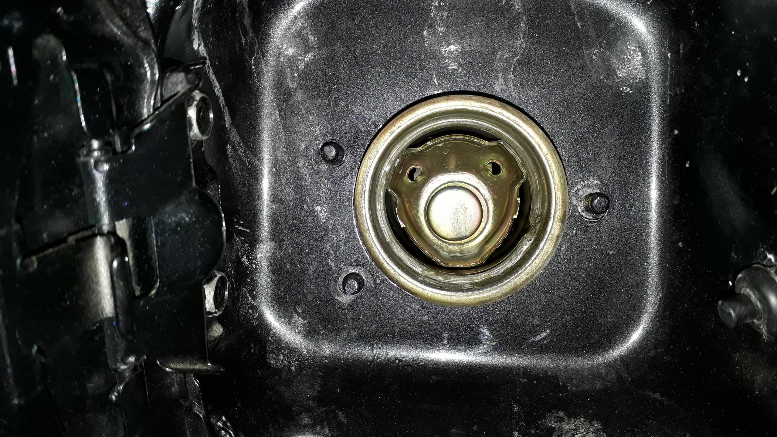 20180310_113317.jpg