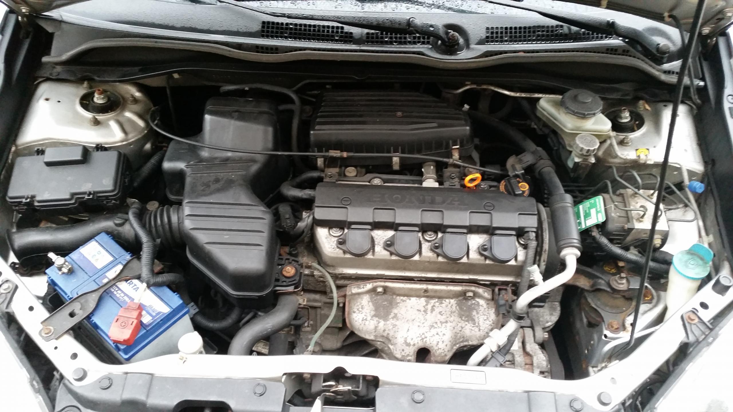 20180323_075602.jpg