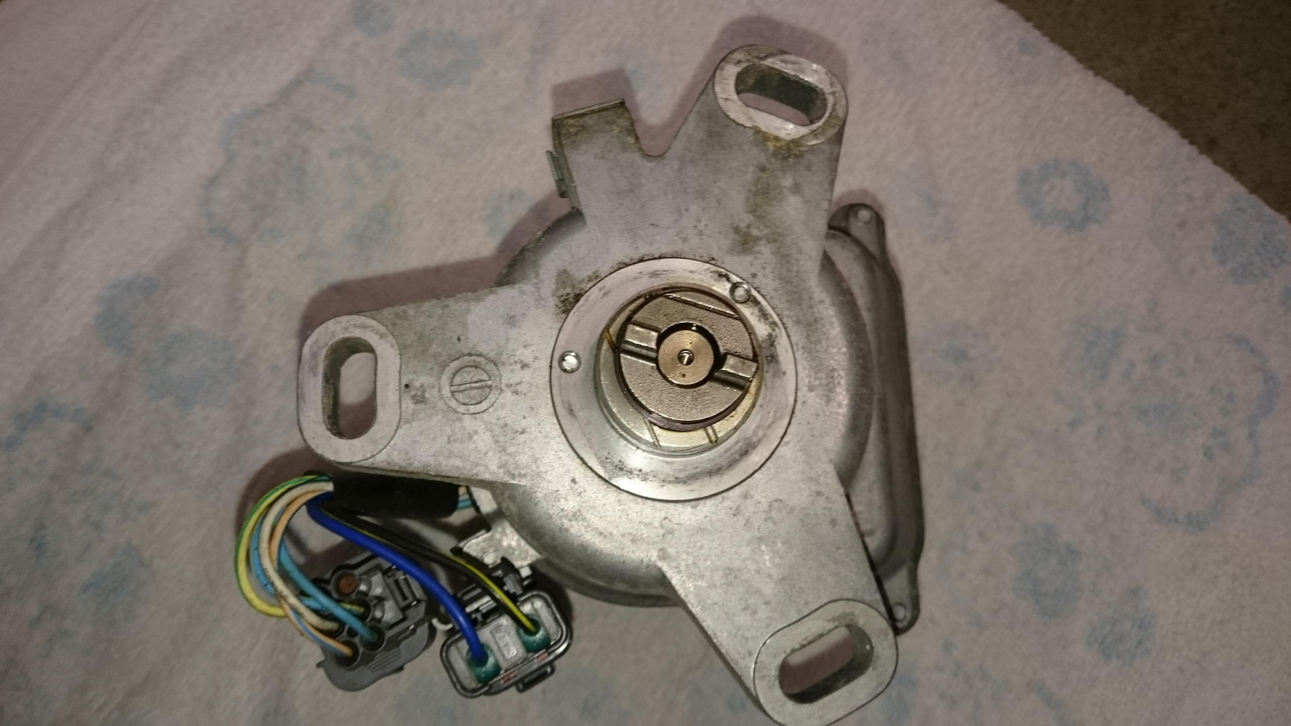 DSC_7639.JPG