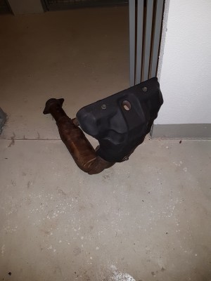20180304_170440.jpg