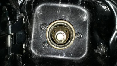 20180310_113510.jpg