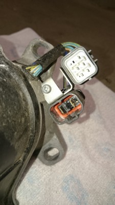 DSC_7638.JPG