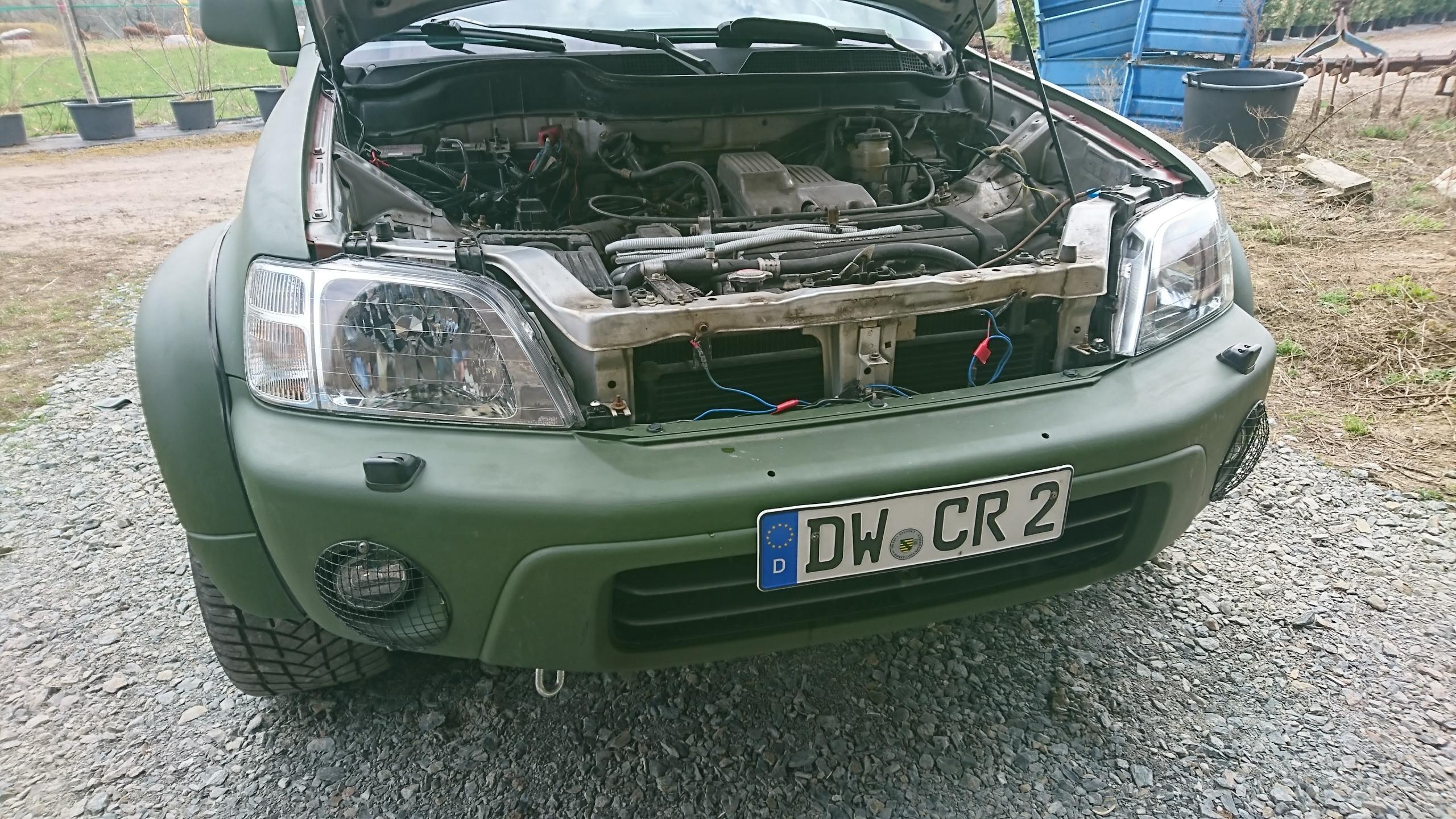 DSC_1890.JPG