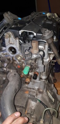 20180519_205229.jpg