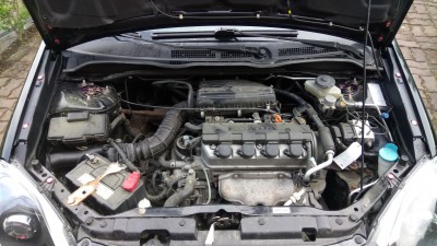 DSC_0014_7[1].JPG