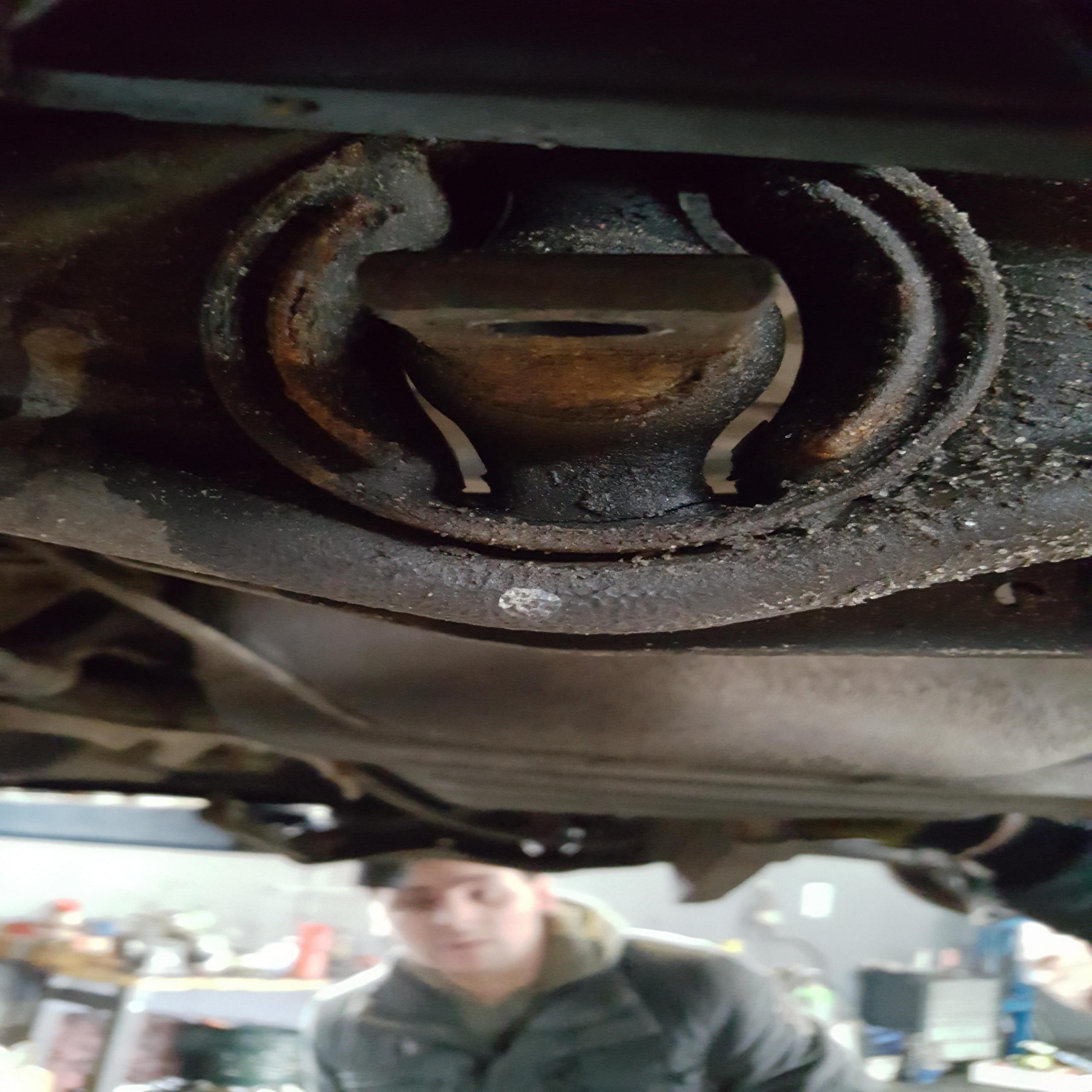 20180405_111021.jpg