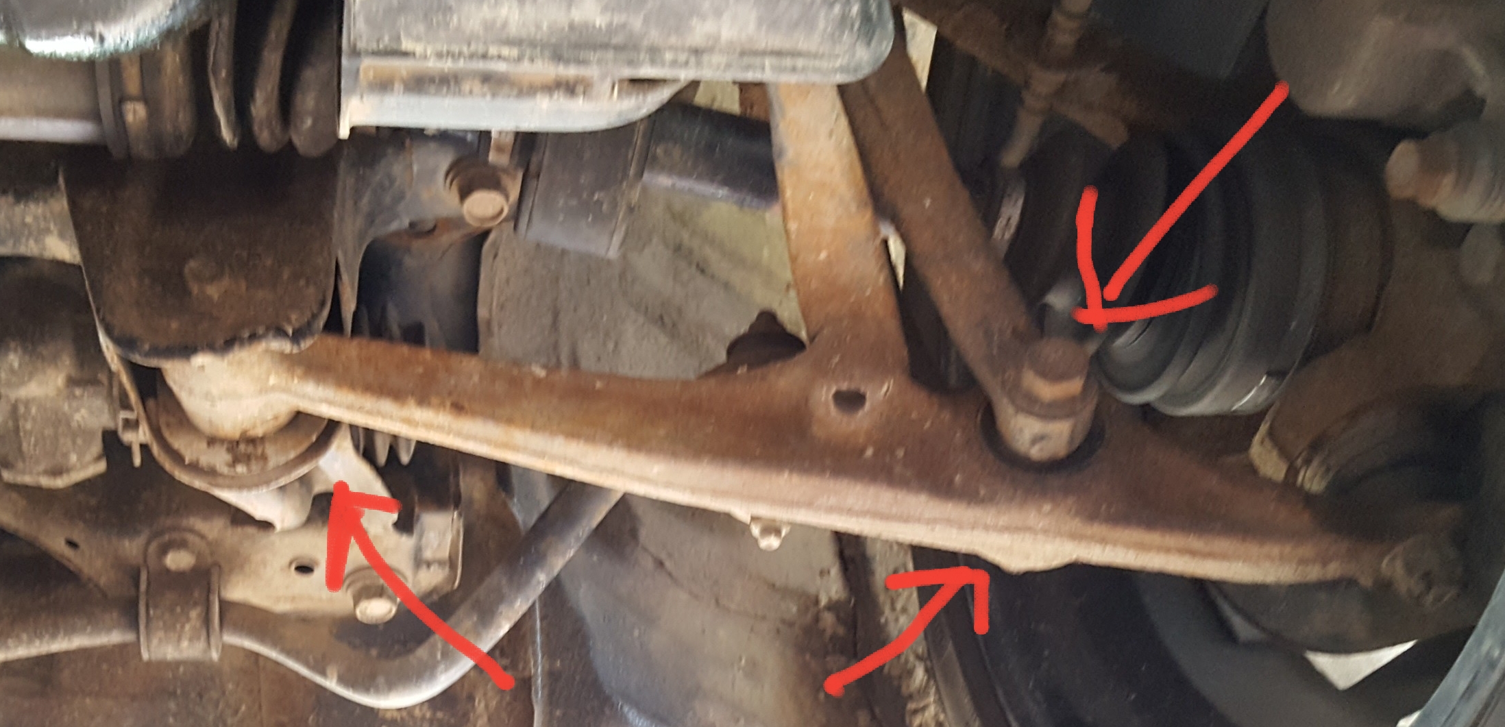 20180702_101732.jpg