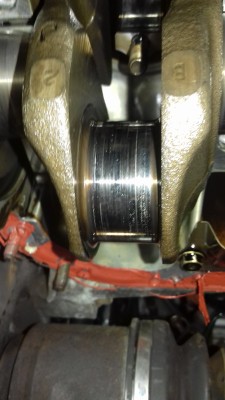 20180727_110319.jpg
