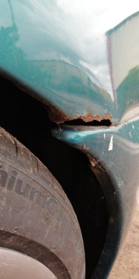 rost.jpg