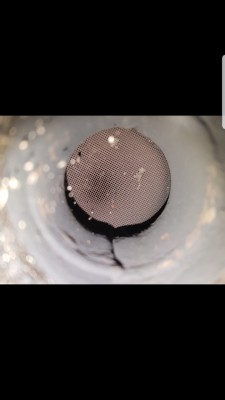 Screenshot_20180831-181133_Gallery.jpg