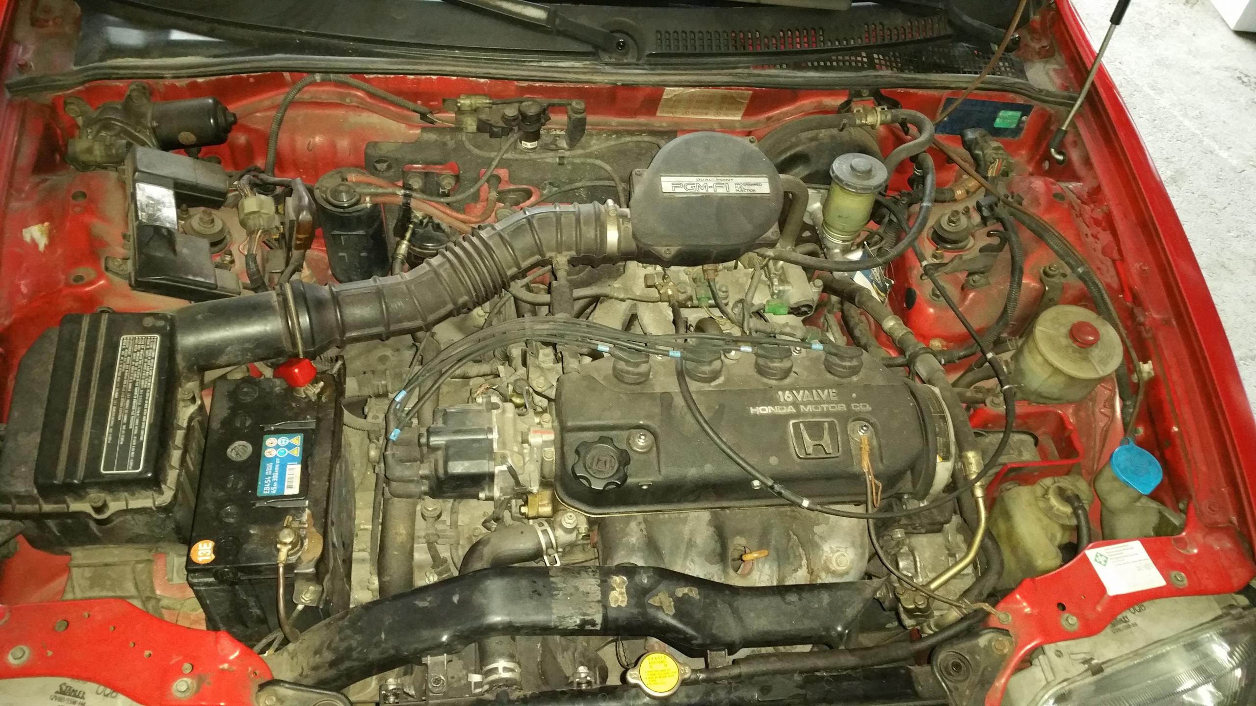20190126_152151.jpg