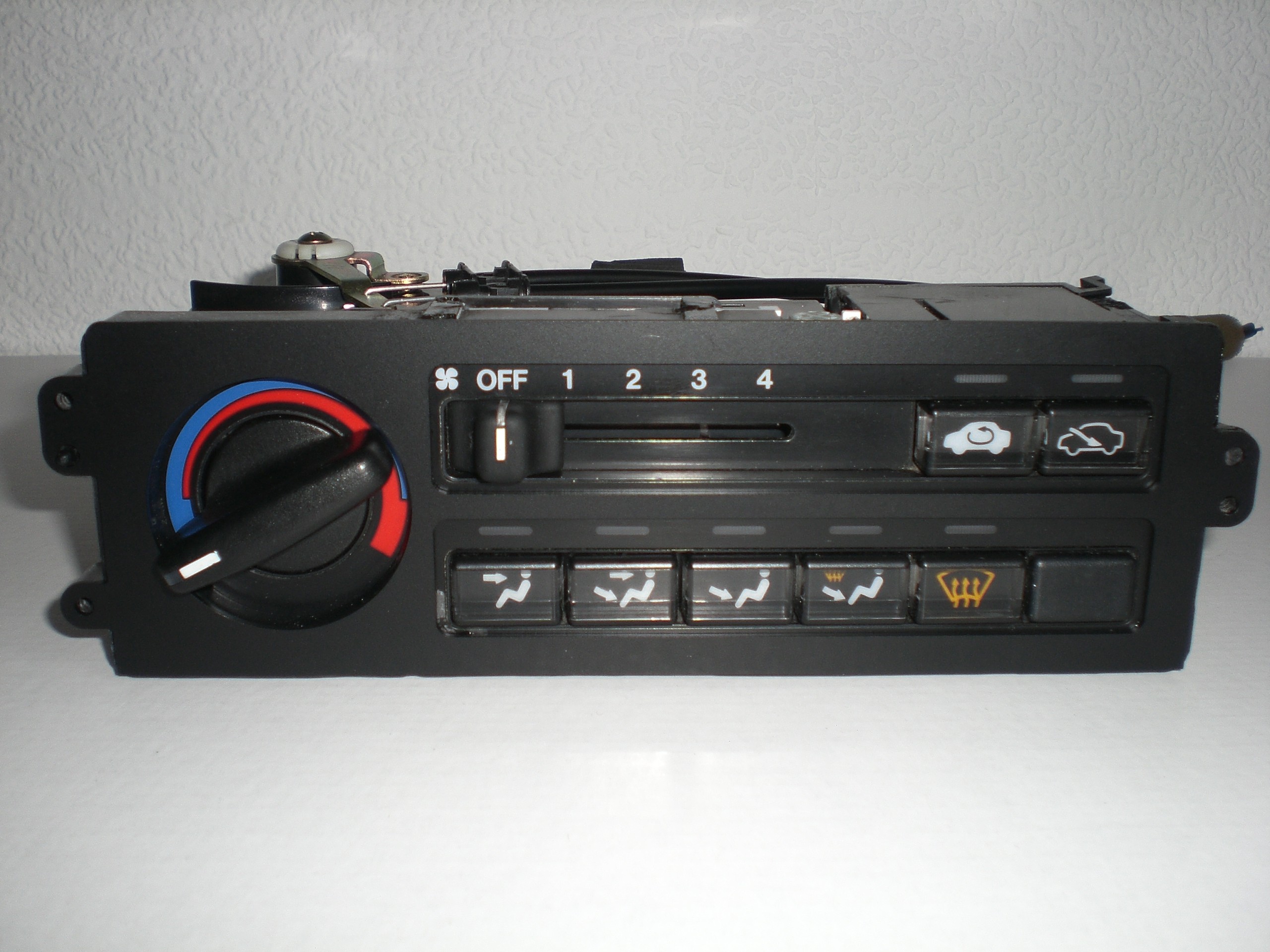 CIMG7969.JPG