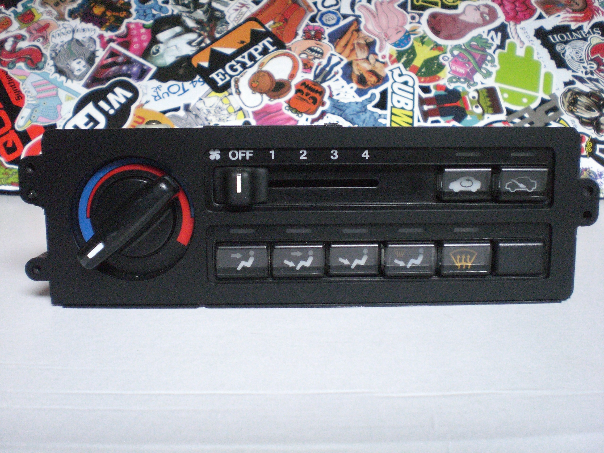CIMG8354.JPG