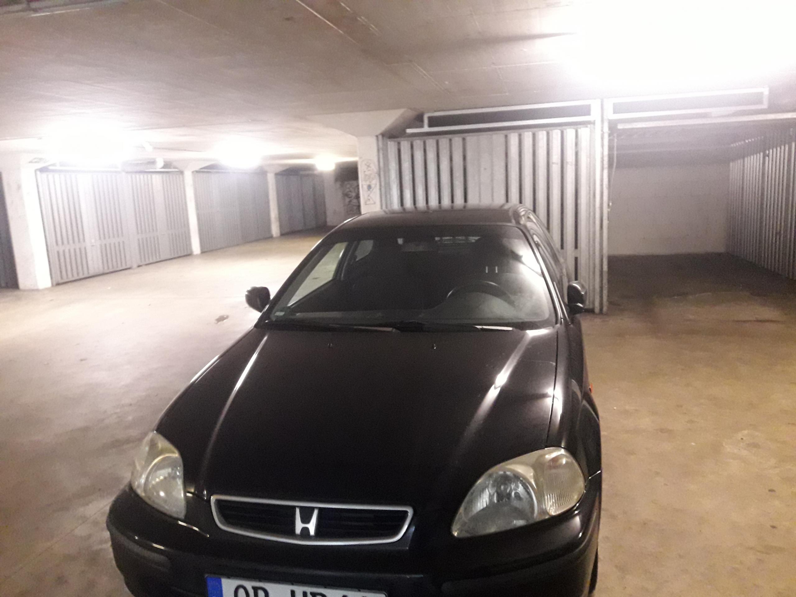 20190307_133616.jpg